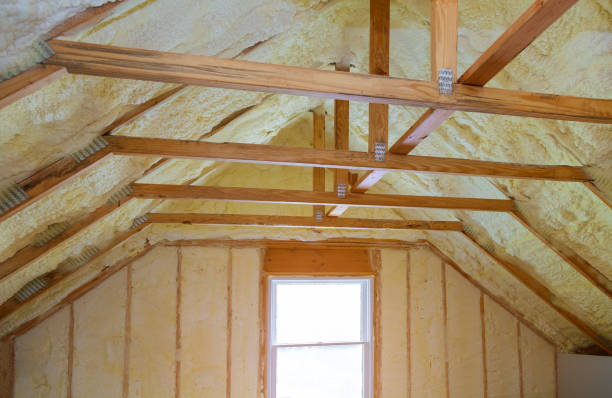 Best Insulation Installation Services in Portage, MI